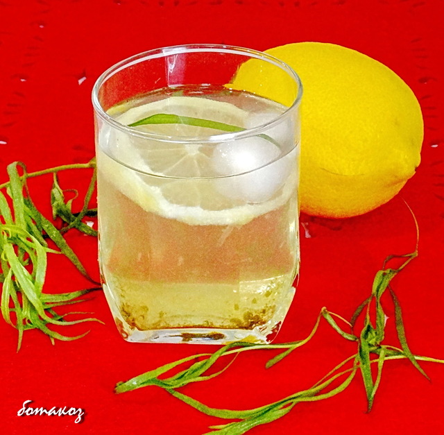 Фото к рецепту: Лимонад из тархуна с лимоном