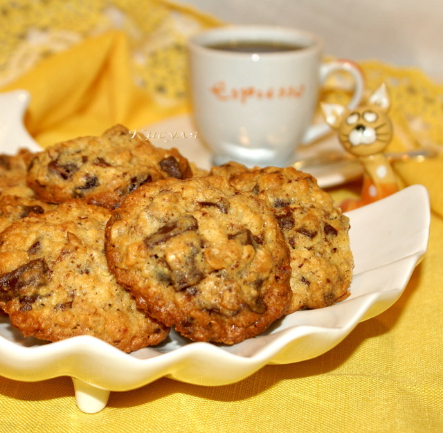 Фото к рецепту: Овсяное печенье с шоколадом и вяленой клюквой