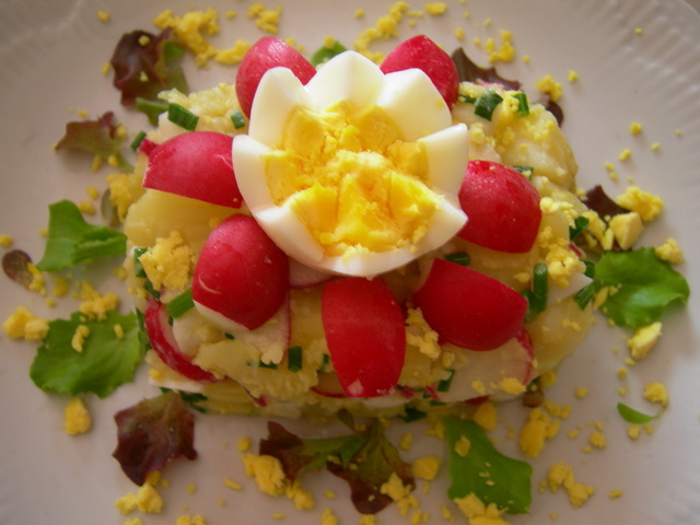 Фото к рецепту: Мамин весенний картофельный салат с редисом