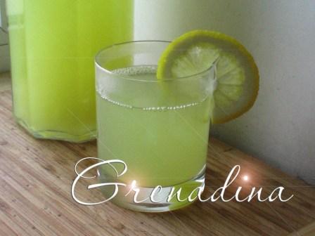 Фото к рецепту: Апельсиново-лимонный напиток