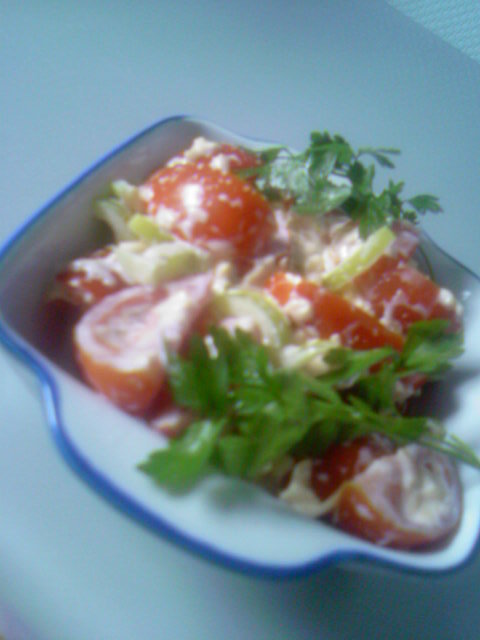 Фото к рецепту: Помидорный салат если нельзя, но очень хочется, тогда-можно, и даже нужно 
