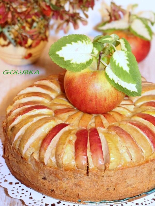 Фото к рецепту: Болонский пирог с полентой и яблоками