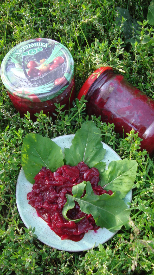 Фото к рецепту: Пикантный салат из свеклы и кабачков
