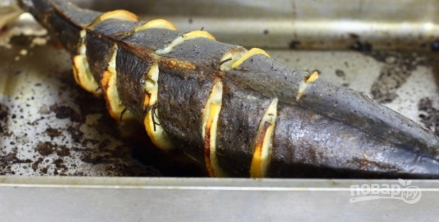 Желтохвостый тунец в духовке - фото шаг 3