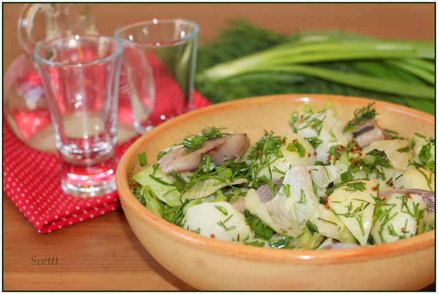 Фото к рецепту: Салат из молодого картофеля с сельдью и зеленью