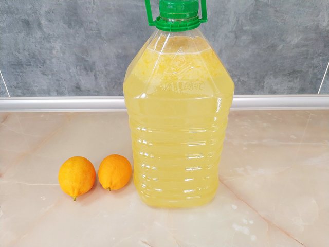 Фото к рецепту: 5 литров лимонада из двух лимонов