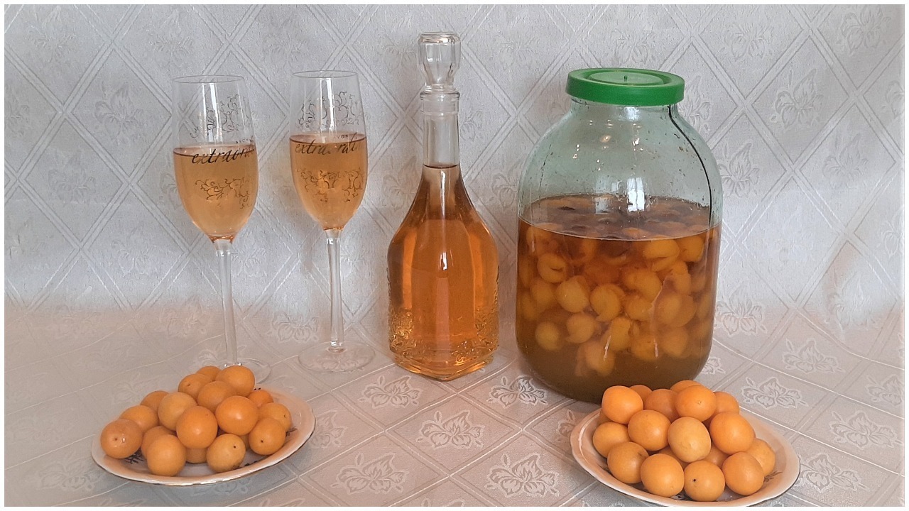 Фото к рецепту: Домашнее «шампанское» (настойка) из плодов алычи