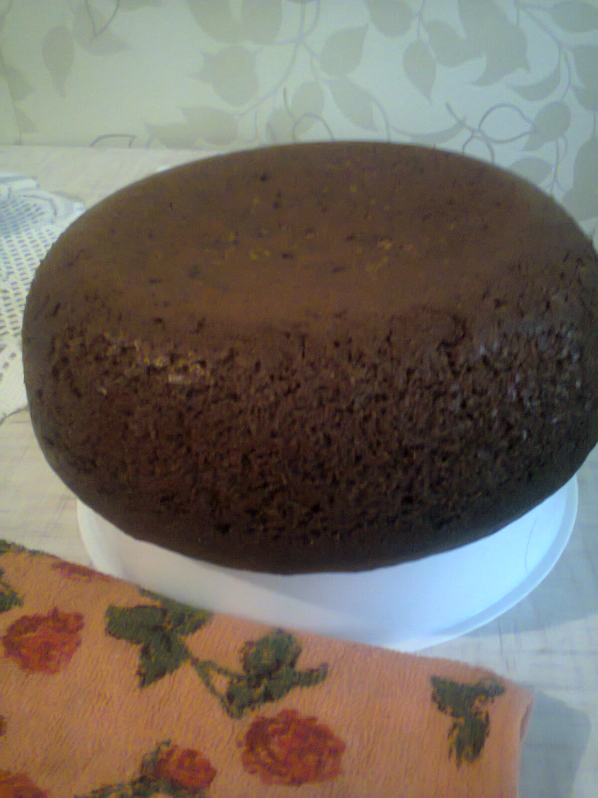 Шоколадный торт с заварным кремом из белого шоколада: шаг 6
