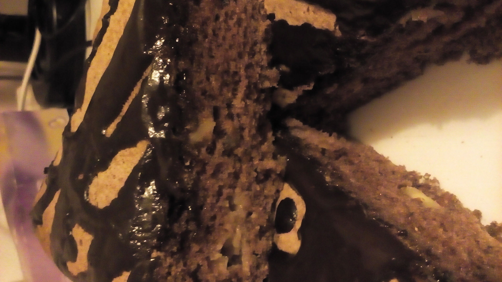 Фото к рецепту: Шоколадная шарлотка с орехами